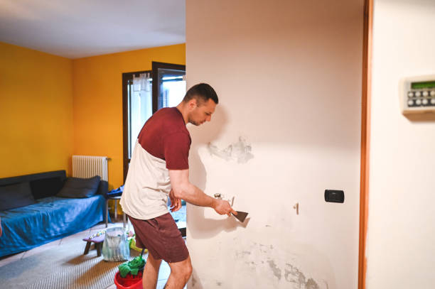 Best Home Mold Removal  in Blawnox, PA